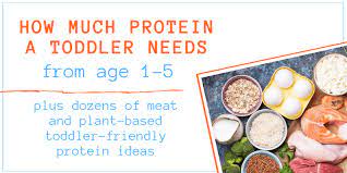 How Much Protein Does A Toddler Need High Chair Chronicles