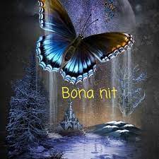 Pin En Bona Nit Bon Dia