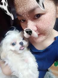 Lost Dog Found in Okeechobee