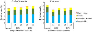 Image result for Pouteria adolfi-friederici