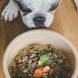 Beans Dogs Can Eat | Dog Child