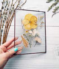 Set of 100 pcs white daisies pressed flat flowers white daisy preserved dry real flat flower dried white daisy petals (2cm 2.5cm 3cm 3.5cm) misutikku. Wonderful Images Metal Wall Art Australia Thoughts Pressed Flowers Diy Pressed Flower Art Pressed Flower Crafts