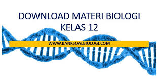 We did not find results for: Download Kumpulan Materi Biologi Sma Kelas Xii Semester 1 Dan 2 Bsb