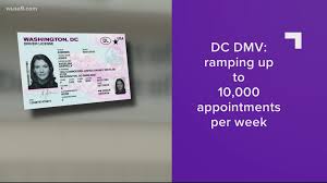 Provide the following documentation to the license and permit specialist: Dc Dmv Extends Driver S License Deadline Wusa9 Com
