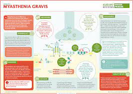 Myasthenia Gravis Nature Reviews Disease Primers