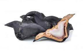 Image result for Trapa natans