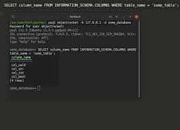 Get The Column Names From A Postgresql Table With The Psycopg2 Python Adapter Objectrocket