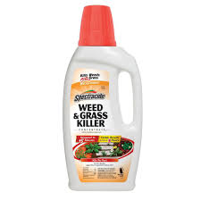How to choose the best weed killer for flower beds? The 8 Best Weed Killers Of 2021