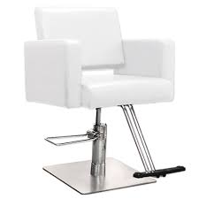 White Salon Havana Hair Salon Styling Chairs Hairdresser Chairs Salon Styling Chairs Chair Style Salon Furniture