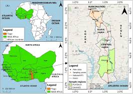 Image result for Sarcocephalus pobeguinii