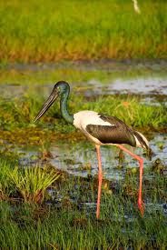 Pin On Design Resources Products