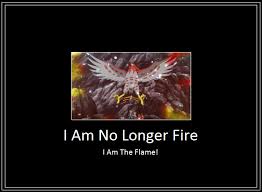 Talonflame Fire Meme By 42dannybob On Deviantart