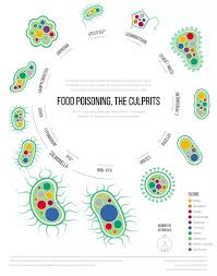 food poisoning from restaurant type food and thoughts