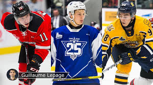 Cette page utilise le site de la lhjmq. Lhjmq Cinq Espoirs A Surveiller Pour 2021