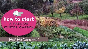 Customer must pay applicable sales tax. How To Start A Fall Or Winter Garden Southern Savers