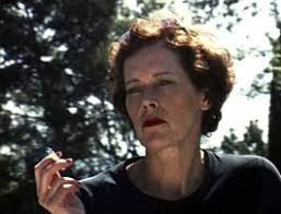 Nicolaus Schafhausen — Manon de Boer