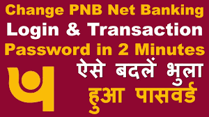 How To Reset Change Pnb Net Banking Login And Transaction Password Easily Youtube