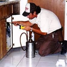 Pin On Pest Control Shoot Ideas