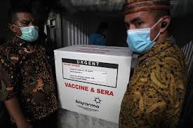 Ditetapkan terbaru ditetapkan terlama hierarki tertinggi hierarki terendah. Sinovac S Covid Vaccine Approved By Indonesia For Emergency Use Bloomberg