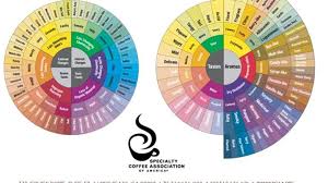 172 words to describe coffee from the official tasters