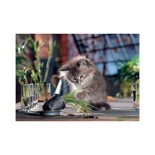 Ks Games Puzzle Naughty Cat 500 Parca Kedili Yapboz Bebekya