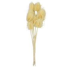 We are proud to offer some of the best cbd flowers available in europe. Shop Freeze Dried Flowers Online At Best Prices In Kuwait
