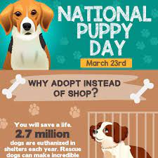Transcript for national puppy day: National Puppy Day Remember Adopt Don T Shop Pettrax