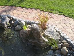 Alle tipps rund um themen wie den perfekten standort und die optimale pflege. Seiler Gartenbau