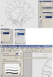 Check spelling or type a new query. A In Photoshop Use Magic Wand Tool And The Shift Key To Mark Areas Download Scientific Diagram