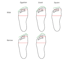 Human Anatomy Fundamentals How To Draw Feet In each step, you will see an illustration as well as explanatory text. human anatomy fundamentals how to draw