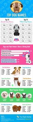 Harley, ronan, shadow—they all work just as well as female puppy names, we'd say. Bella Is The Top Dog Name Of The Decade