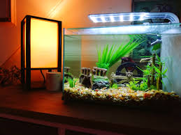 My betta fish is going to have a new eclipse system 6 tank. How To Clean A Betta Fish Tank Facts Simplified Steps