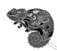 Cerca nel più grande indice di testi integrali mai esistito. 20 Color Chameleon Ideas Chameleon Drawings Animal Drawings