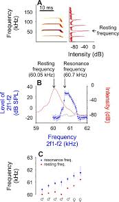 Which is best, ionization or optical? Sharp Temporal Tuning In The Bat Auditory Midbrain Overcomes Spectral Temporal Trade Off Imposed By Cochlear Mechanics Scientific Reports