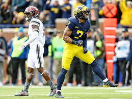 Michigan vs. South Carolina: Scouting the Gamecocks in the Outback Bowl