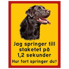 Established in 2007 the designer dogs kennel club is a registry for designer/hybrid dogs. Obehoriga Gore Sig Ej Besvar Labradorer Brun