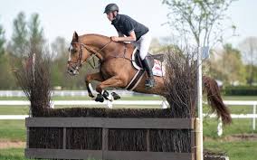 +44 (0) 7776 206 950 Oliver Townend In Bidding War For Top Lot At Goresbridge Sale Eventing Nation Three Day Eventing News Results Videos And Commentary