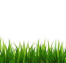 Related Image Grass Clipart Clip Art Grass