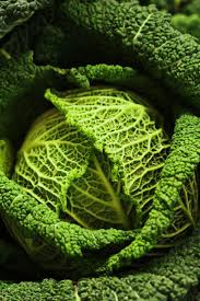 Cabbage Why Is This Picture Of A Cabbage So Lovely Fruits Et Legumes Fruits Vert
