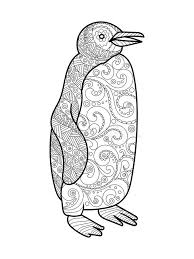 Download these free advanced penguins coloring pages (or any other of our free advanced coloring pages!) and enjoy them in the coziness of your own home. Penguin Coloring Book For Adults Vector Stock Vector Illustration Of Curve Penguin 71092267