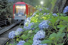 箱根登山鉄道強羅駅から徒歩5分。 和モダンなホテル「箱根 ゆとわ」は、東棟、西棟、 コンドミニアム棟の3つの建物で構成。 落ち着いた雰囲気の佇まいは、ゆったり寛ぎの時間をお過ごしいただけます。 ç®±æ ¹ã®å¤œã«ã‚¢ã‚¸ã‚µã‚¤è¼ã ï¼'å¹´ã¶ã‚Šãƒ©ã‚¤ãƒˆã‚¢ãƒƒãƒ— ç¤¾ä¼š ãƒ‹ãƒ¥ãƒ¼ã‚¹ èª­å£²æ–°èžã‚ªãƒ³ãƒ©ã‚¤ãƒ³