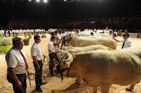 We did not find results for: Sommet De L Elevage 2017 A Cournon D Auvergne