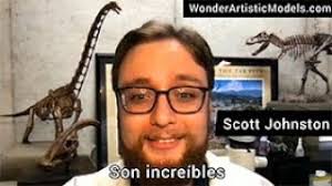 The expert's opinion