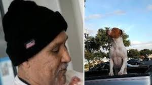 Man Gives Heart Wrenching Goodbye to Pit Bull but Vows to Return, Sweetest  Reunion Ever