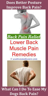 Pin On Acute Back Pain