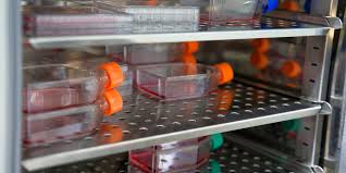 نتیجه جستجوی لغت [incubator] در گوگل