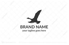 Image result for fly logo
