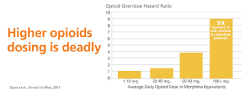 opioid epidemic deflecting the curve