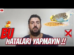 Muhabbet Kusum Cok Gurultu Yapiyor Youtube