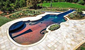 Free Form Pool Designs Ideas